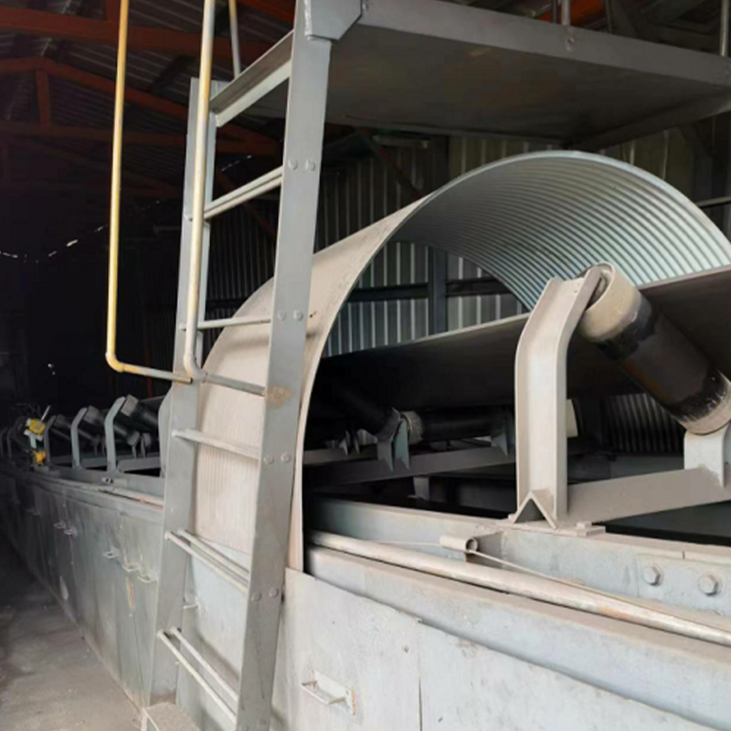 Cingulum inclusum Hood